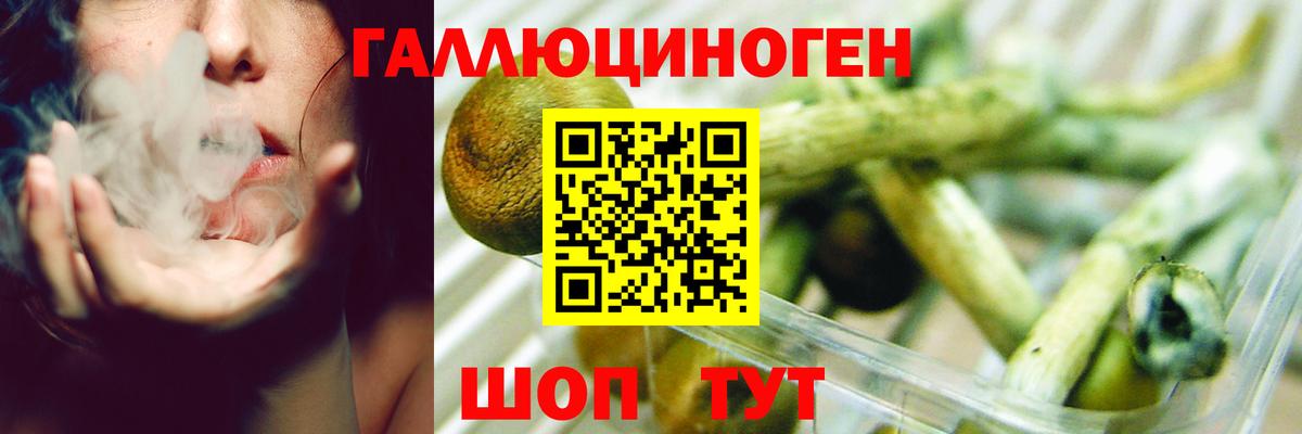 Псилоцибиновые грибы Cubensis  Вход с VPN  Усинск 